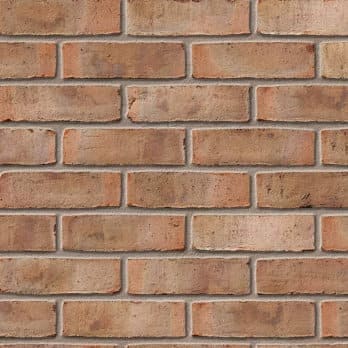 Birtley Olde English Buff