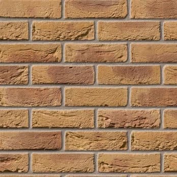 Bradgate Golden Purple