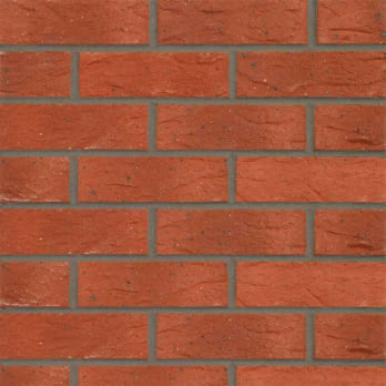 Clumber Red