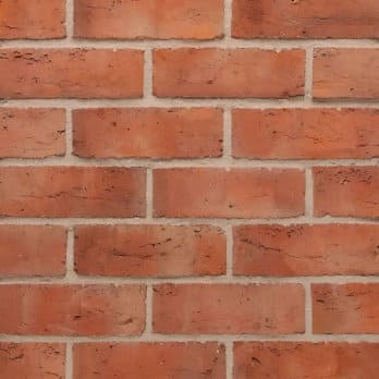 Autumn Russet Sovereign Stock