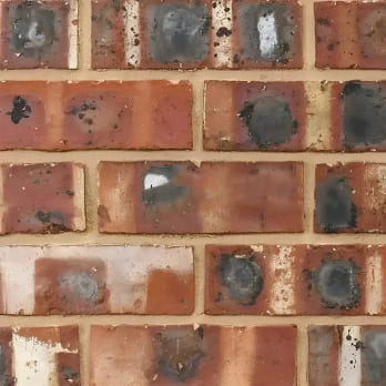 Original Giscol Common 73mm