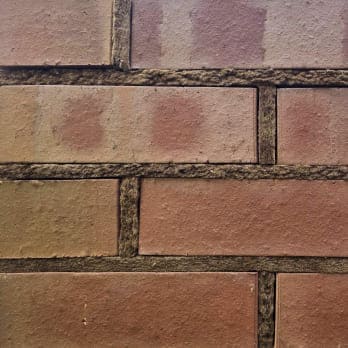 Staffordshire Smooth 65mm N/S